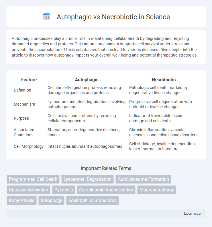 Necrobiotic vs Autophagic in Science - What is The Difference?