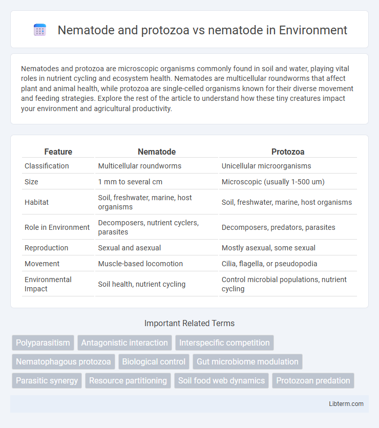 nematode vs Nematode and protozoa in Environment - What is The Difference?