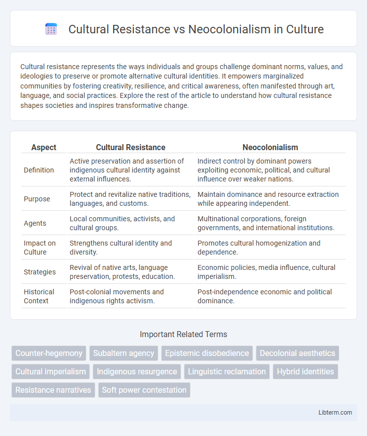 Neocolonialism vs Cultural Resistance in Culture - What is The Difference?