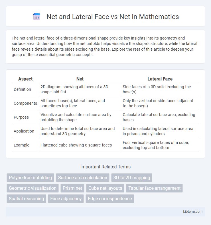 Net vs Net and Lateral Face in Mathematics - What is The Difference?