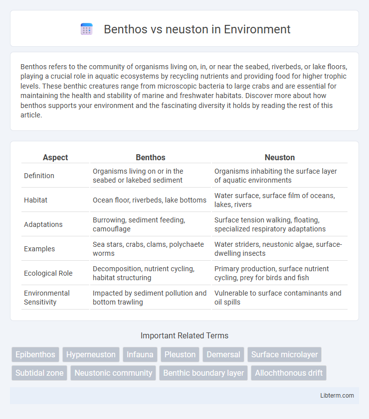 neuston vs Benthos in Environment - What is The Difference?