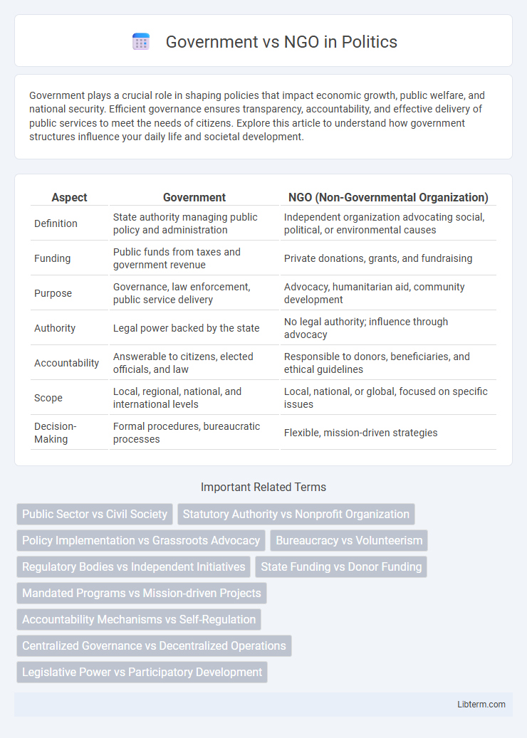 NGO vs Government in Politics - What is The Difference?