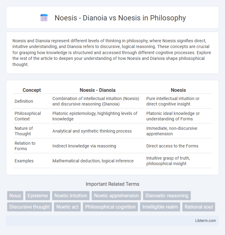 Noesis vs Noesis - Dianoia in Philosophy - What is The Difference?
