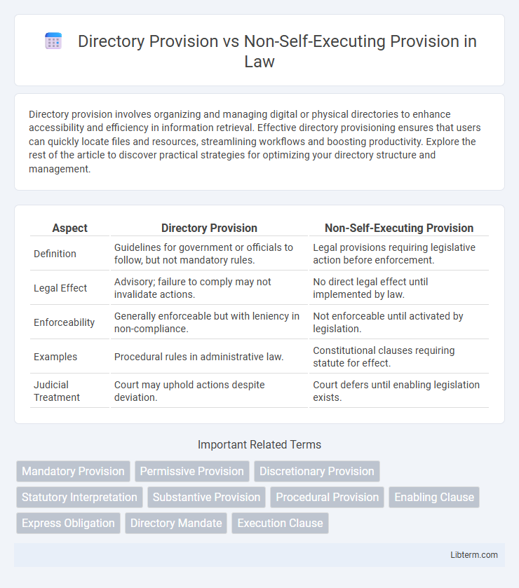 Non-Self-Executing Provision vs Directory Provision in Law - What is The Difference?