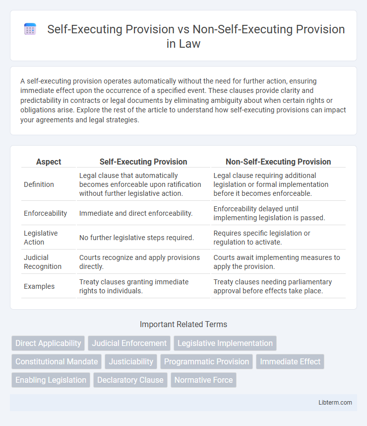 Non-Self-Executing Provision vs Self-Executing Provision in Law - What is The Difference?