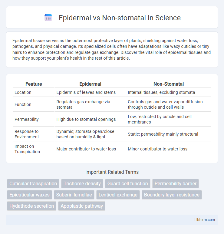 Non-stomatal vs Epidermal in Science - What is The Difference?