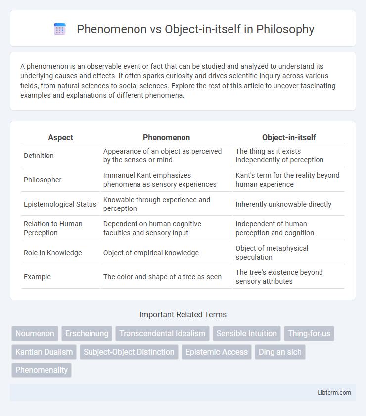 Object-in-itself vs Phenomenon in Philosophy - What is The Difference?