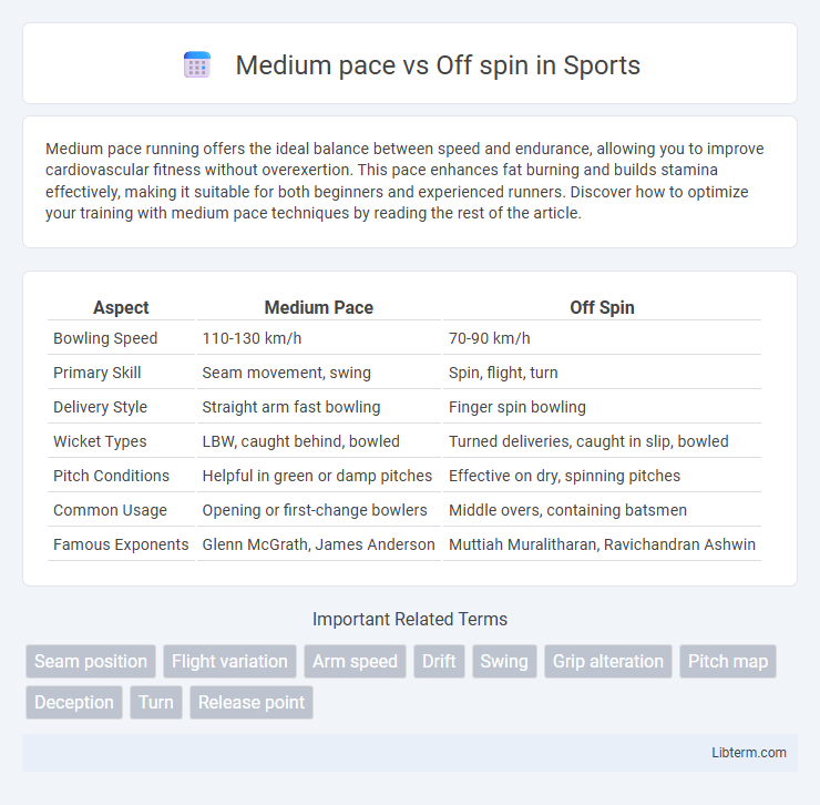 Off spin vs Medium pace in Sports - What is The Difference?