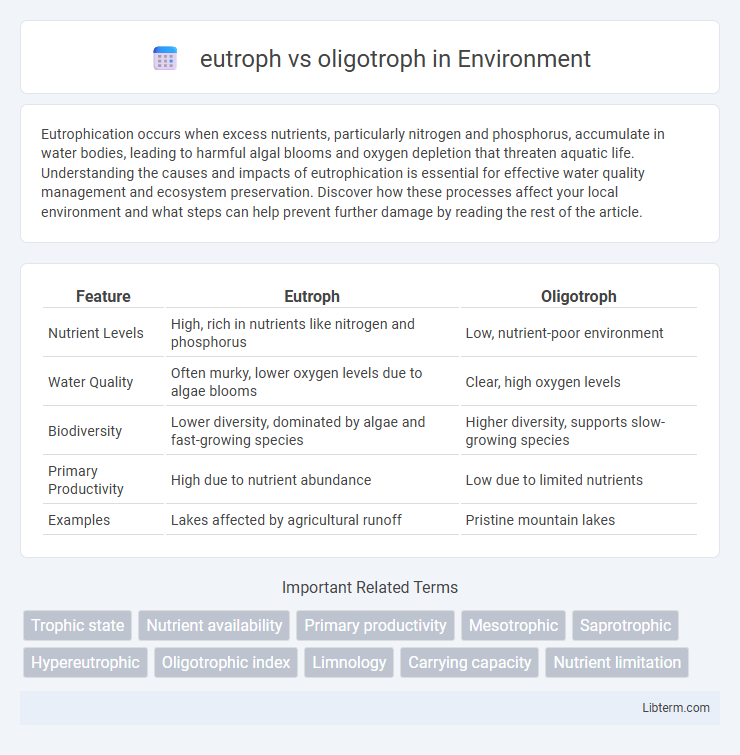 oligotroph vs eutroph in Environment - What is The Difference?