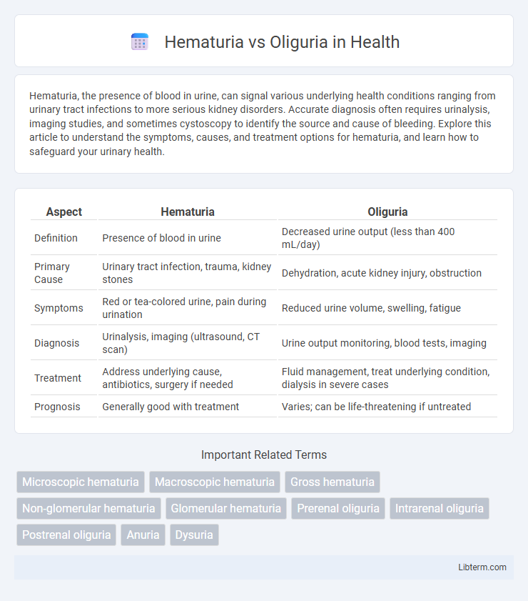 Oliguria vs Hematuria in Health - What is The Difference?