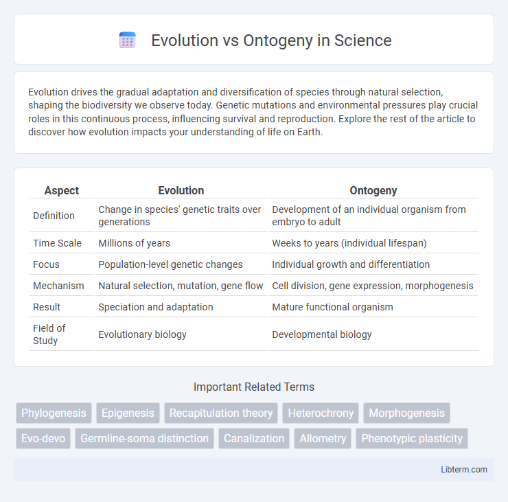 Ontogeny vs Evolution in Science - What is The Difference?