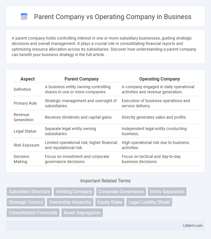Operating Company vs Parent Company in Business - What is The Difference?