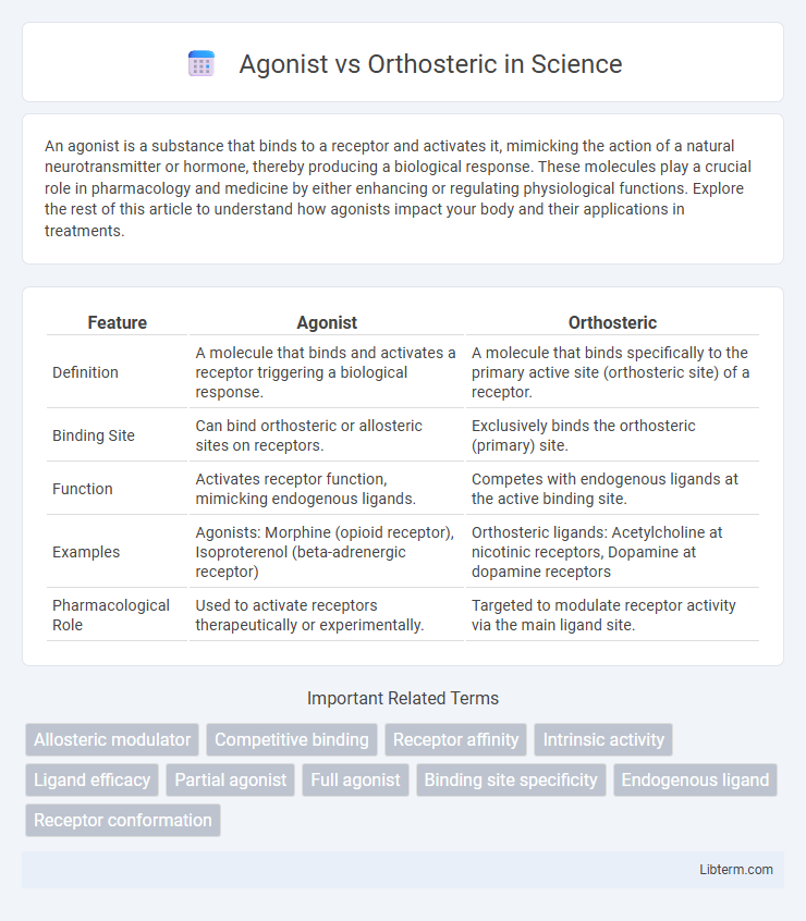 Orthosteric vs Agonist in Science - What is The Difference?