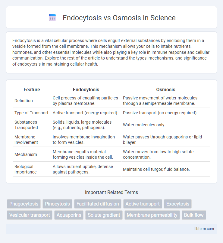 Osmosis vs Endocytosis in Science - What is The Difference?