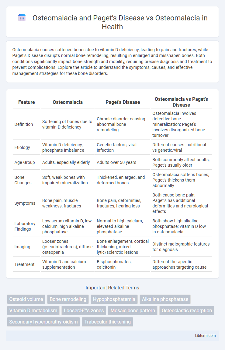 Osteomalacia vs Osteomalacia and Paget's Disease in Health - What is The Difference?