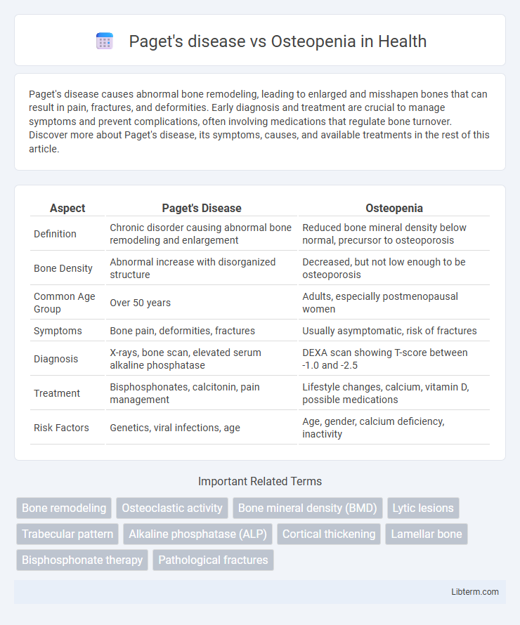 Osteopenia vs Paget's disease in Health - What is The Difference?