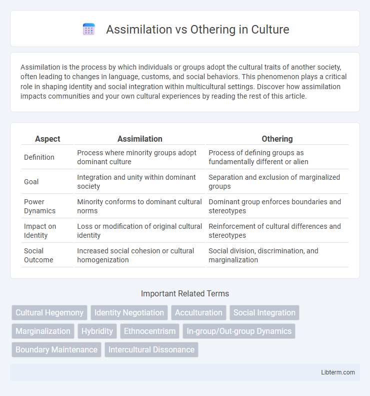 Othering vs Assimilation in Culture - What is The Difference?