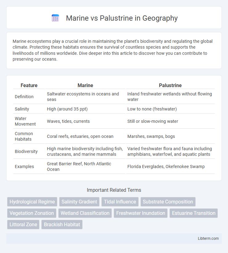 Palustrine vs Marine in Geography - What is The Difference?