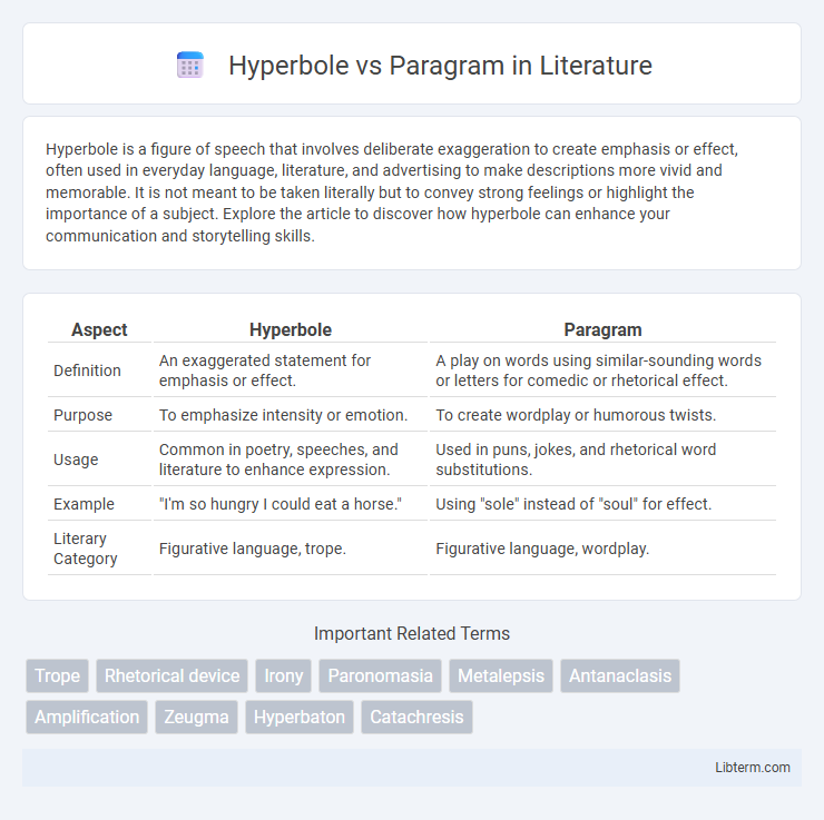 Paragram vs Hyperbole in Literature - What is The Difference?
