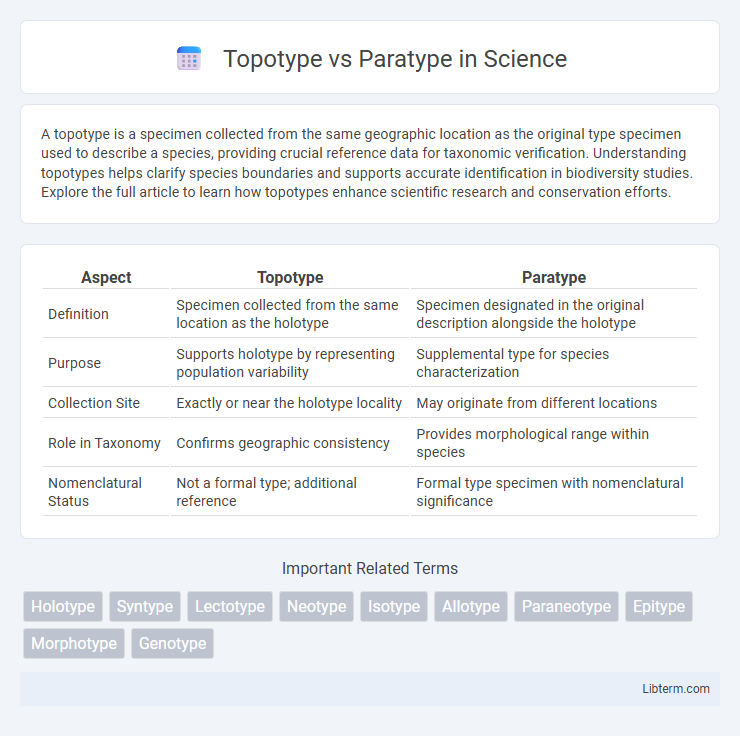 Paratype vs Topotype in Science - What is The Difference?