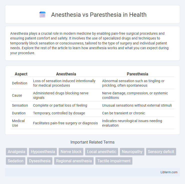 Paresthesia vs Anesthesia in Health - What is The Difference?