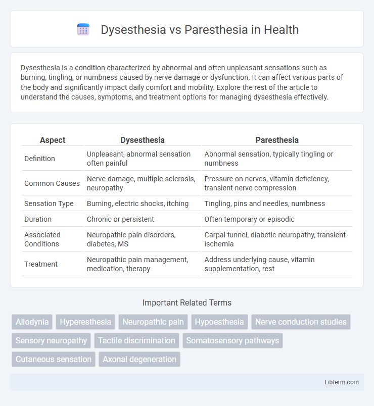 Paresthesia vs Dysesthesia in Health - What is The Difference?