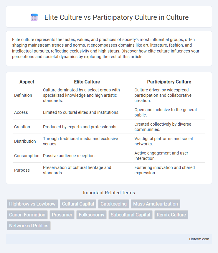Participatory Culture vs Elite Culture in Culture - What is The Difference?