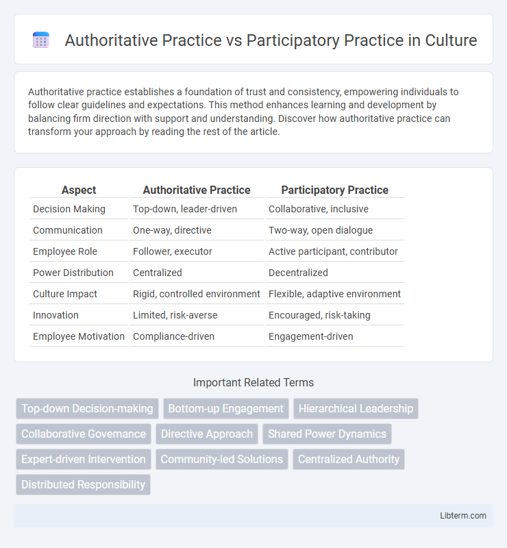 Participatory Practice vs Authoritative Practice in Culture - What is The Difference?