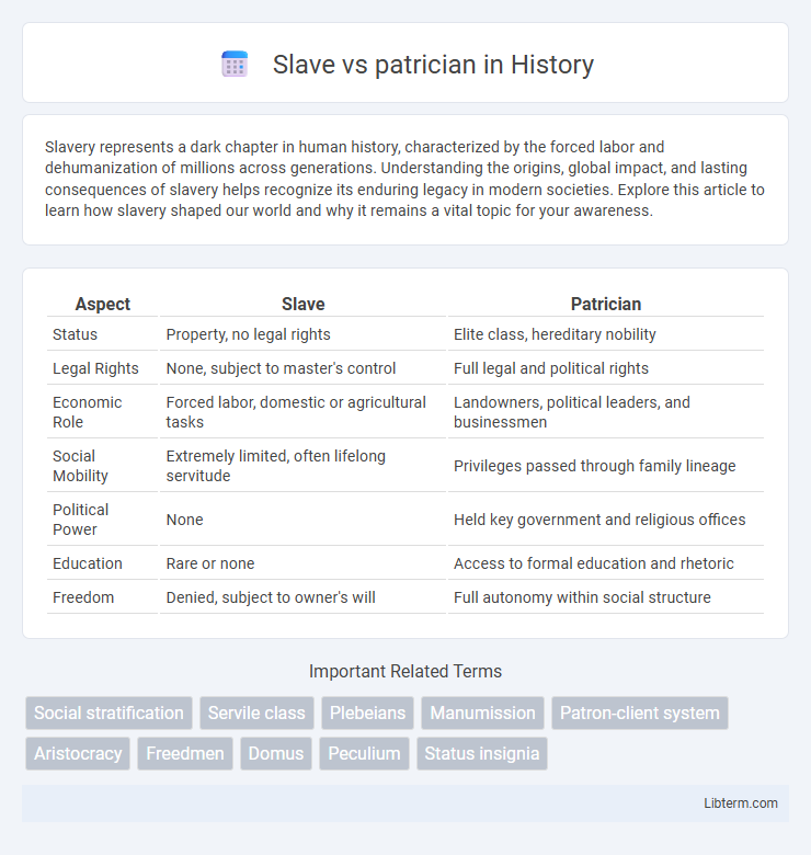 patrician vs Slave in History - What is The Difference?