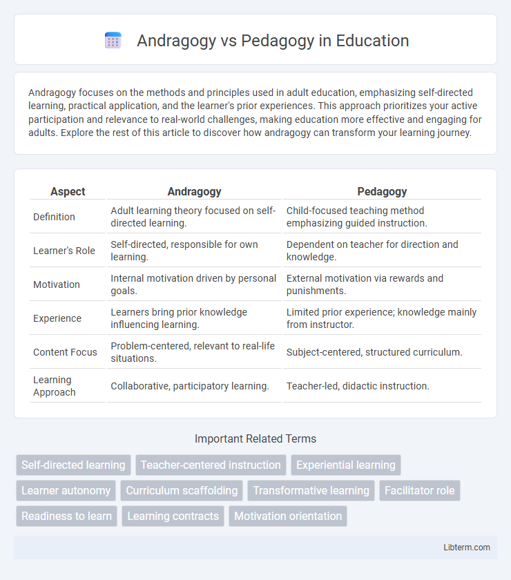 Pedagogy vs Andragogy in Education - What is The Difference?