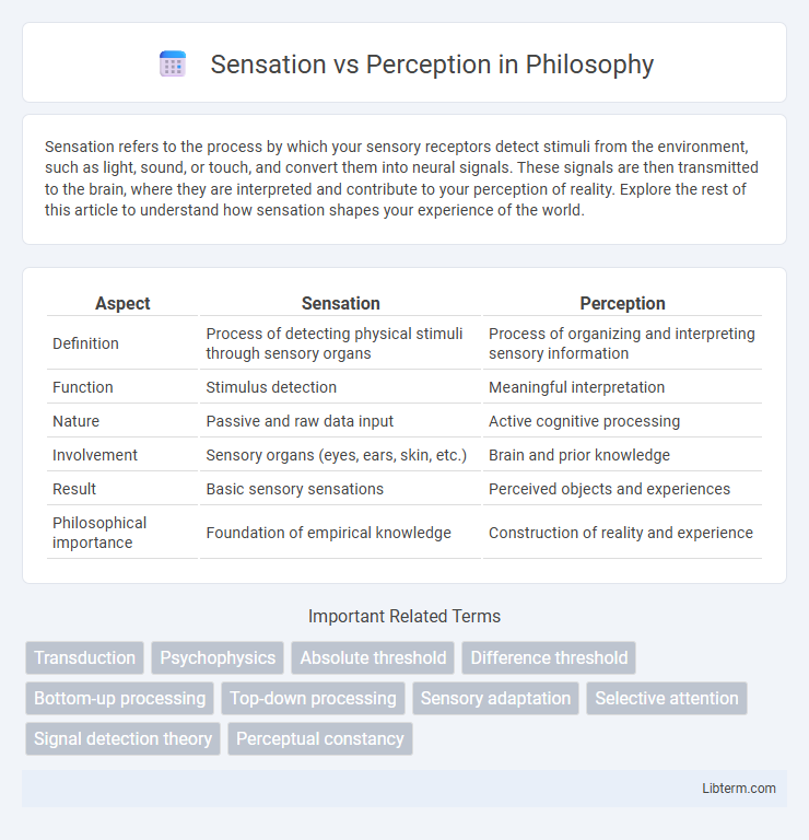 Perception vs Sensation in Philosophy - What is The Difference?