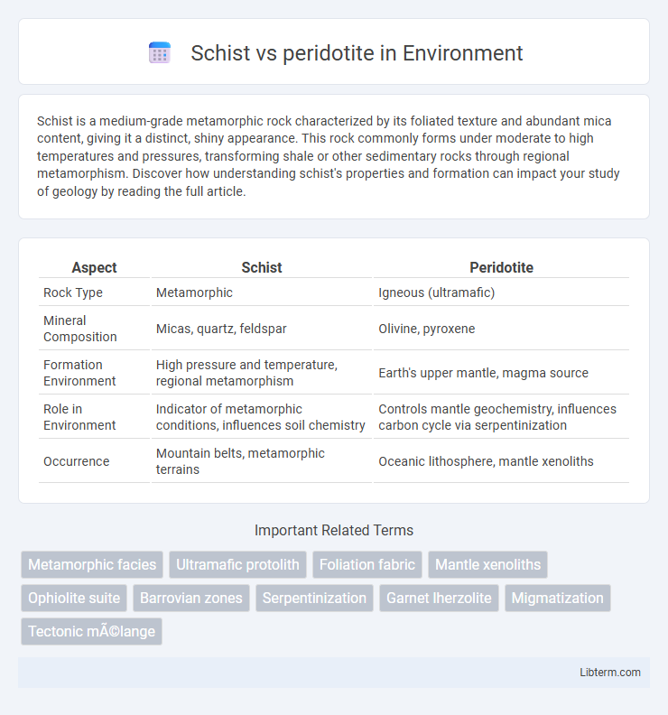 peridotite vs Schist in Environment - What is The Difference?