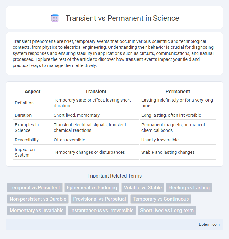 Permanent vs Transient in Science - What is The Difference?