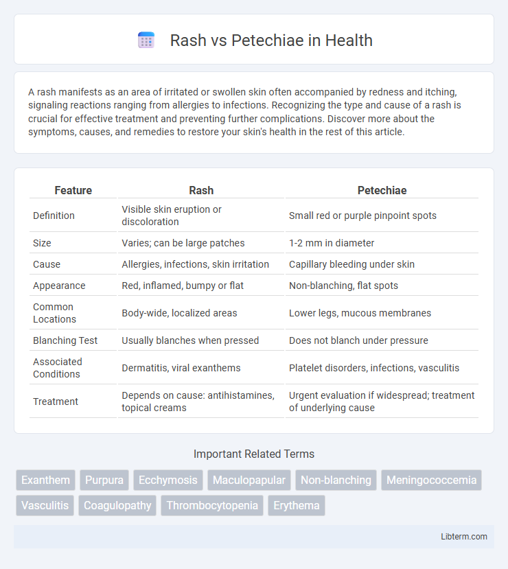 Petechiae vs Rash in Health - What is The Difference?