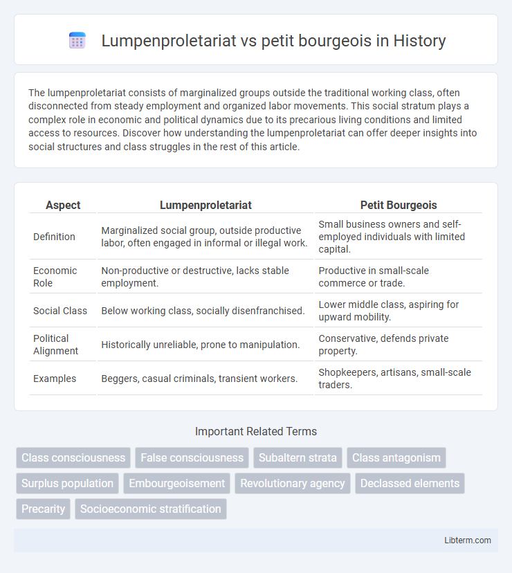 petit bourgeois vs Lumpenproletariat in History - What is The Difference?