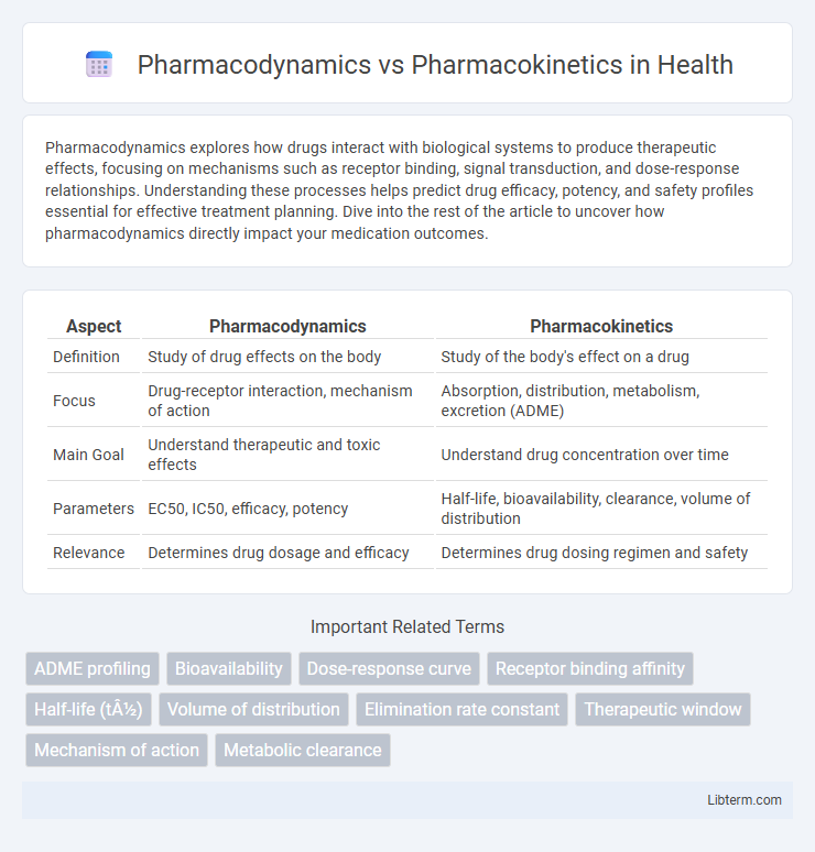 Pharmacokinetics vs Pharmacodynamics in Health - What is The Difference?