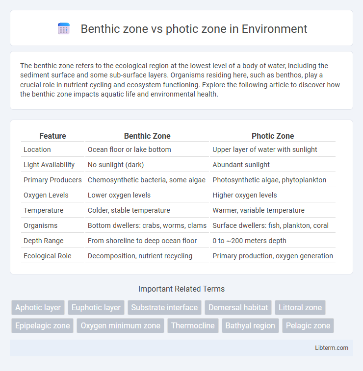 photic zone vs Benthic zone in Environment - What is The Difference?