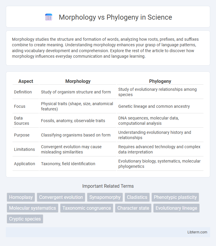 Phylogeny vs Morphology in Science - What is The Difference?