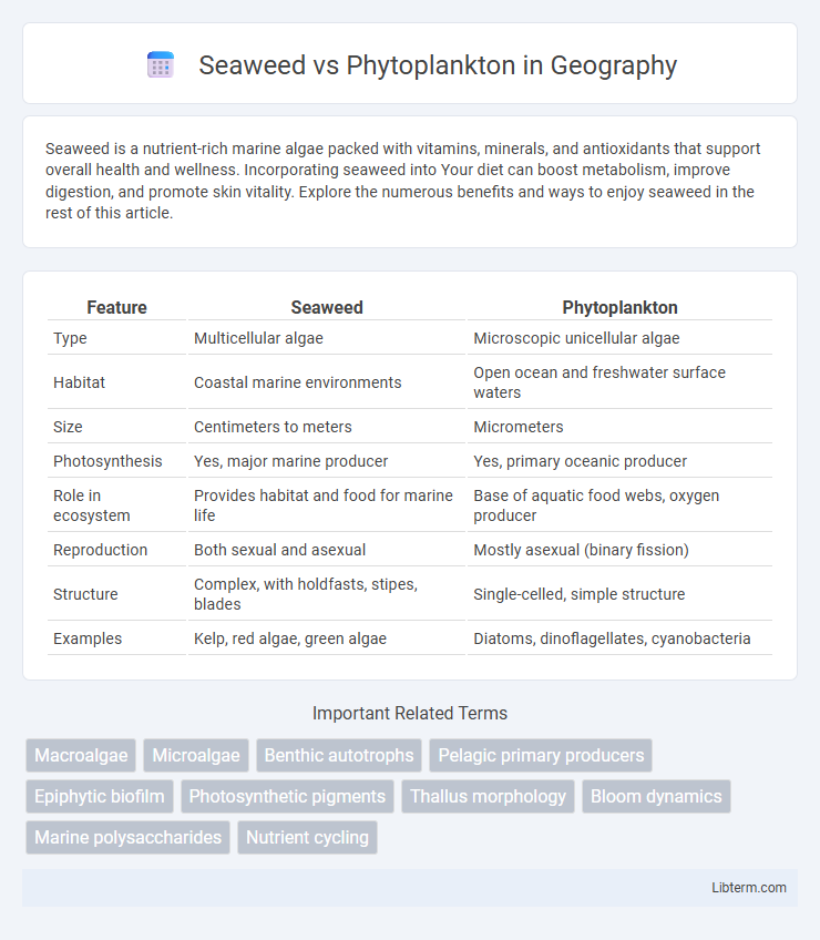 Phytoplankton vs Seaweed in Geography - What is The Difference?