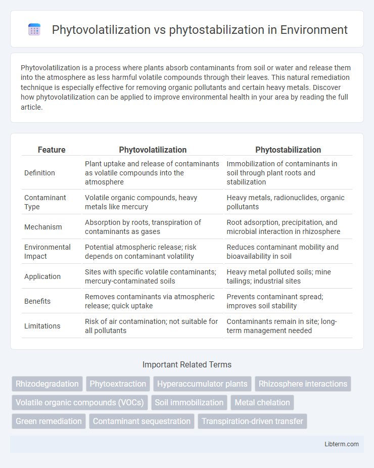 phytostabilization vs Phytovolatilization in Environment - What is The Difference?