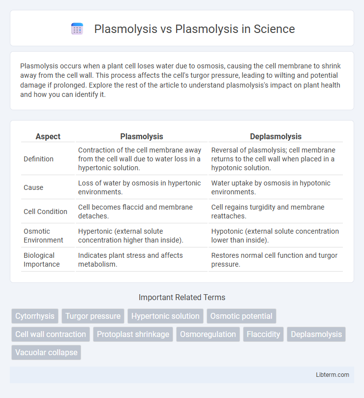 Plasmolysis vs Plasmolysis in Science - What is The Difference?