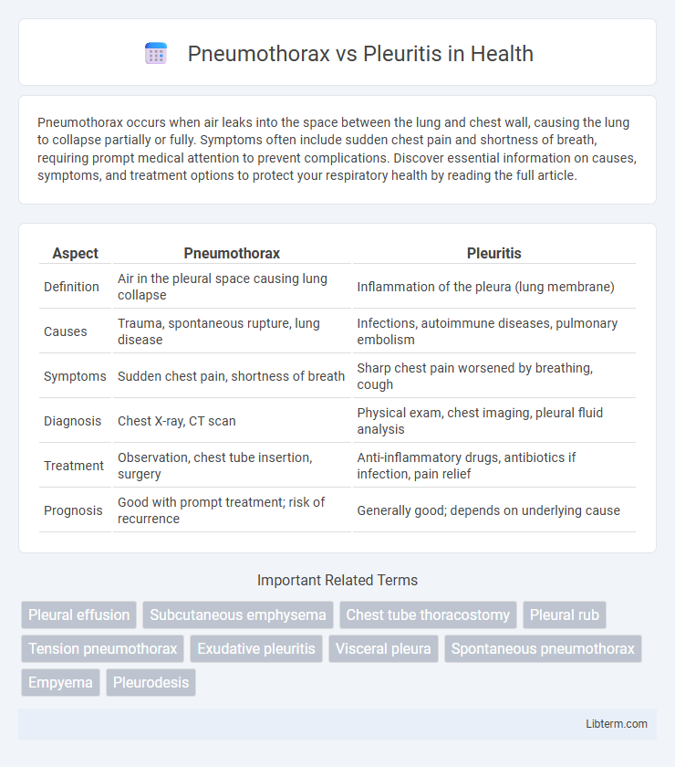 Pleuritis vs Pneumothorax in Health - What is The Difference?