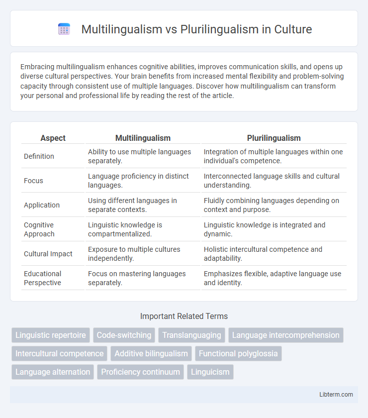Plurilingualism vs Multilingualism in Culture - What is The Difference?