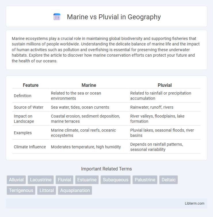 Pluvial vs Marine in Geography - What is The Difference?