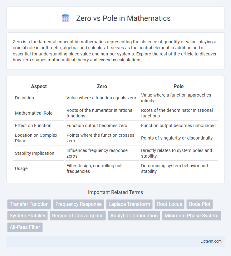 Pole vs Zero in Mathematics - What is The Difference?