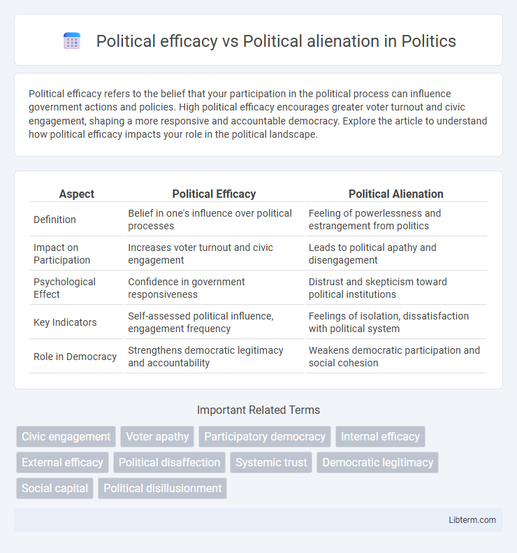 Political alienation vs Political efficacy in Politics - What is The Difference?