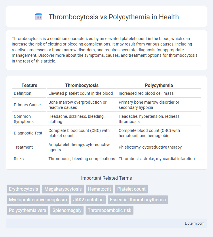 Polycythemia vs Thrombocytosis in Health - What is The Difference?