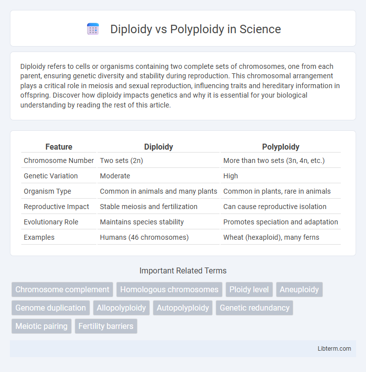 Polyploidy vs Diploidy in Science - What is The Difference?