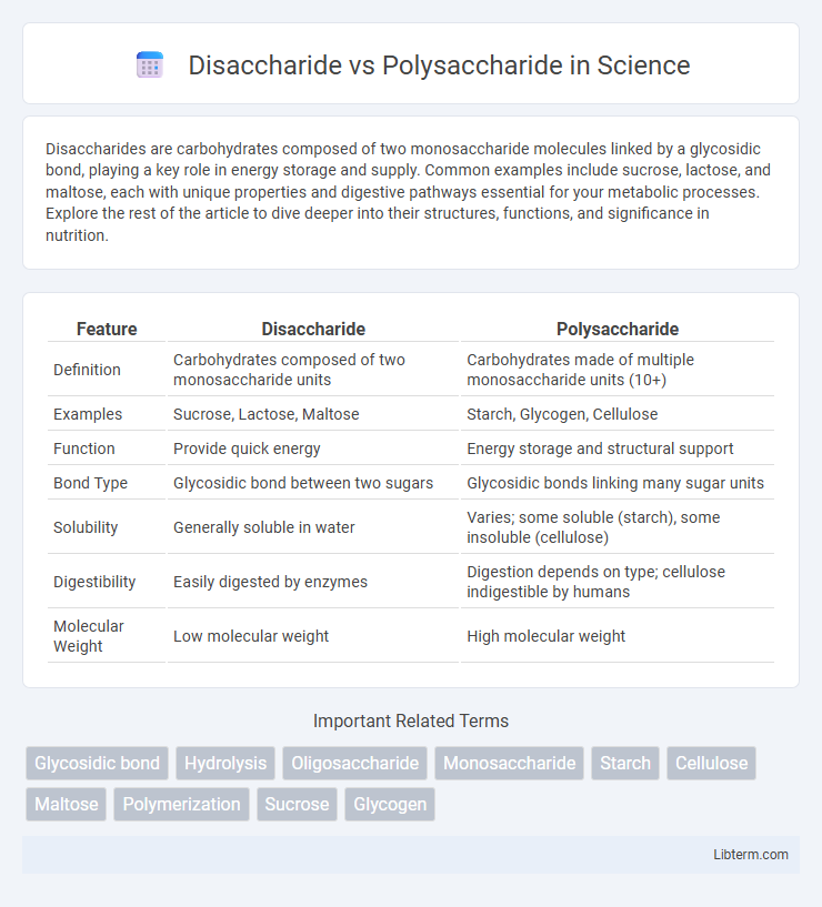 Polysaccharide vs Disaccharide in Science - What is The Difference?