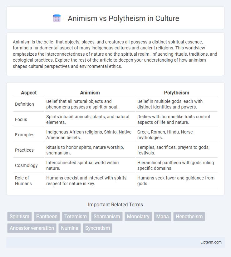 Polytheism vs Animism in Culture - What is The Difference?
